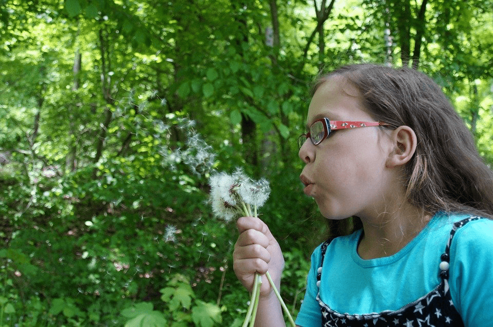 Kind mit Brille und Pusteblume